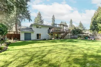 Professionally landscaped yard with raspberry bushes & mediterranean herb garden.