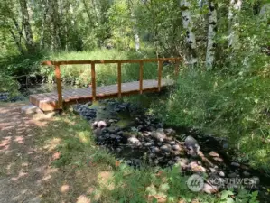 Small bridge near pond