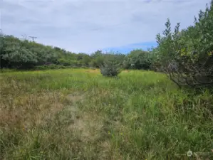 Large, cleared building area with privacy/wetlands buffer to remain on site.