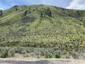 Your oasis just minutes from town! Where City meets Country!