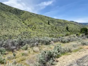 1585 Pitcher Canyon Road. 5.11 Acres