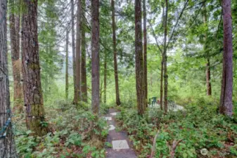 Footpath to view the Nooksack river