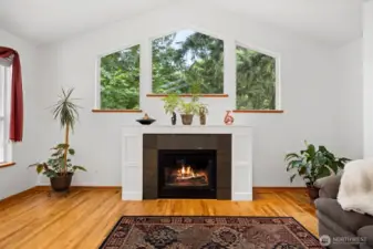 gas fireplace looking north