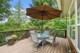 big deck with timbertech