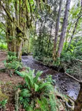 You’ll never get tired of the gentle sound of your own creek—it’s the kind of peaceful vibe that makes every day feel like a getaway.