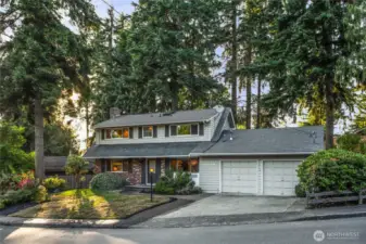 Tucked among the beautiful backdrop of PNW Evergreens.
