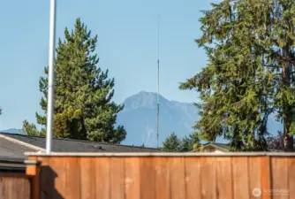 Mountain view from backyard