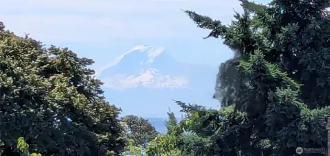 View of Mt Rainier from the kitchen sink