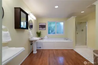 Primary bath, off the primary bedroom, with a Jacuzzi tub
