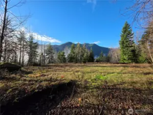 upper site with Olympic Mountain foothills views
