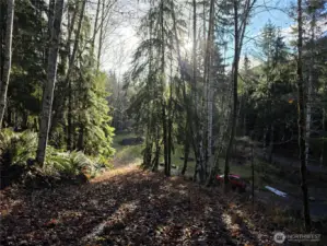 view looking down toward cabin