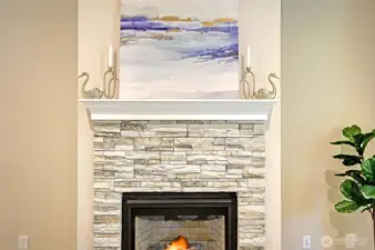 Gorgeous Gas Fireplace