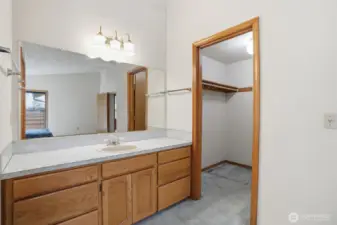 Ensuite vanity, walk-in closet, carpet