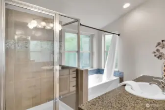 The primary bath boasts a walk-in shower as well as a tub with a view.