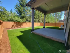 back yard with covered patio