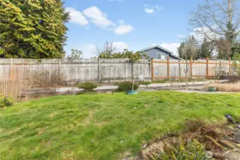 Grass area in back yard
