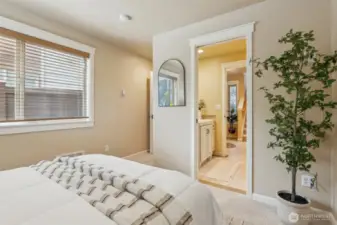 Lower Bedroom