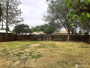 Large backyard