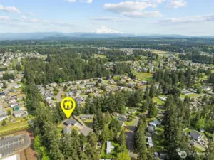 Birds eye view with Mt. Rainier in the background.  Shows all the old growth around the community.  Giving you the PNW scene.