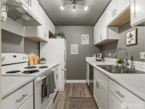 Newly renovated kitchen - cabinets, counters, sink/faucet & fixtures!
