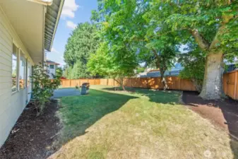 Fully fenced back yard.