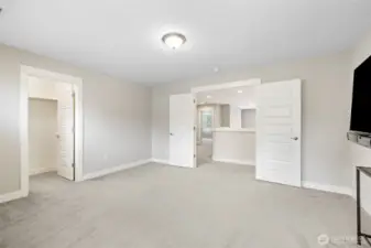 This is Bedroom / Flex room with walk-in closet