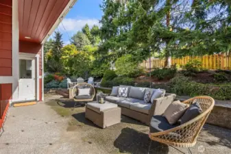 The back gardens.