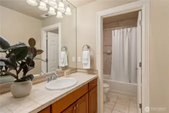 The full bath on the lower level, adjacent to the 'guest' room.