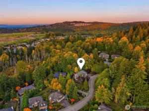 This home is minutes from Factoria and Bellevue, yet enjoys the ambiance of a separate property.