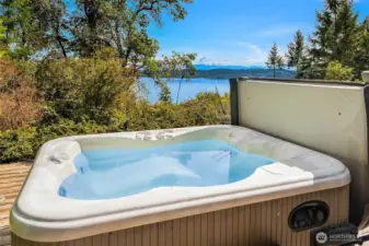 Hot Tub off Primary Bedroom