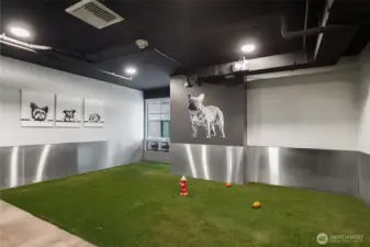 1st floor indoor dog run