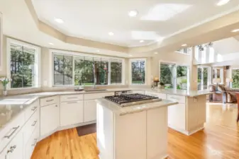 The remodeled kitchen overlooking the backyard features luxury quartz counters, beautiful cabinetry, stainless steel appliances including two ovens, duel fuel gas range, and a breakfast bar peninsula.