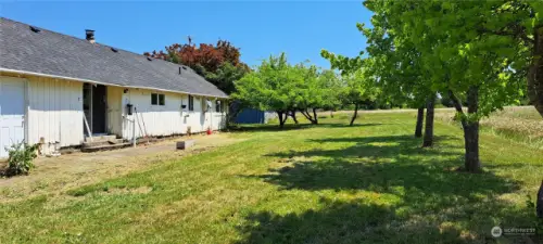 Backyard of Rambler #2 rental. Showing multiple fruit trees and part of hay field.