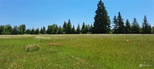 Hay field shown from behind #3 rental.