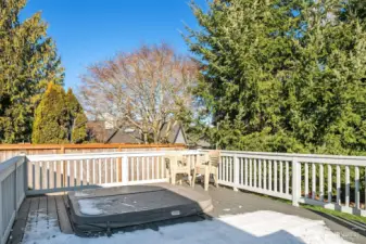 Newer Trex Deck with Built-In Spa