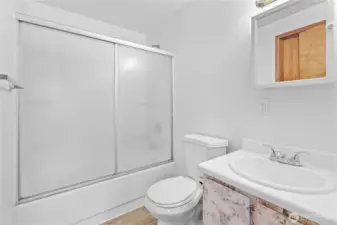 Lower level bath