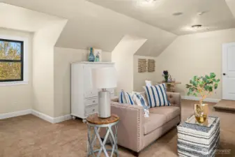 Rec room adjacent to bedroom and bath ideal for long term stays.
