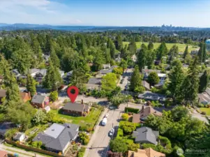 If you were the bird flying high, you'd be impressed to see Mt. Rainier, Lake WA, Bellevue to the left, downtown Seattle on the right, and Maple Leaf Reservoir Park in the center.  You can also see many of these views at the park, which is an easy walk from this home.  This is a very walkable neighborhood!