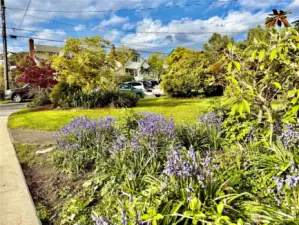 Front yard and gardens