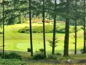 9 hole golf course