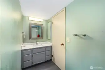 Hall Bathroom  Undermount sink with quartz countertop  Single vanity with decorative mirror and lighting