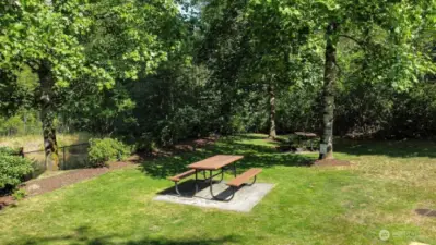 community picnic area