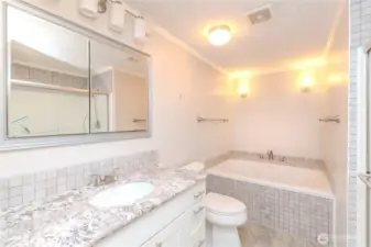 Jetted tub in primary with large kitchen counter space.
