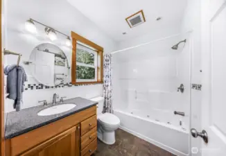 Primary bathroom #2