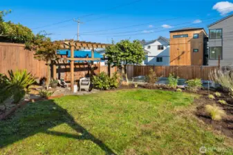 Large back yard; 1830 sq foot lot