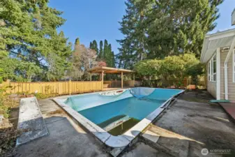 Large inground pool