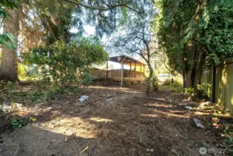 Large backyard
