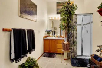 Main Level Bath room with shower