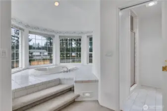 Sunny, elegant space for relaxation or re-imagine this primary bathroom space