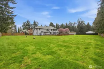 Huge yard, with electrical in the corner (used to have an above ground pool)